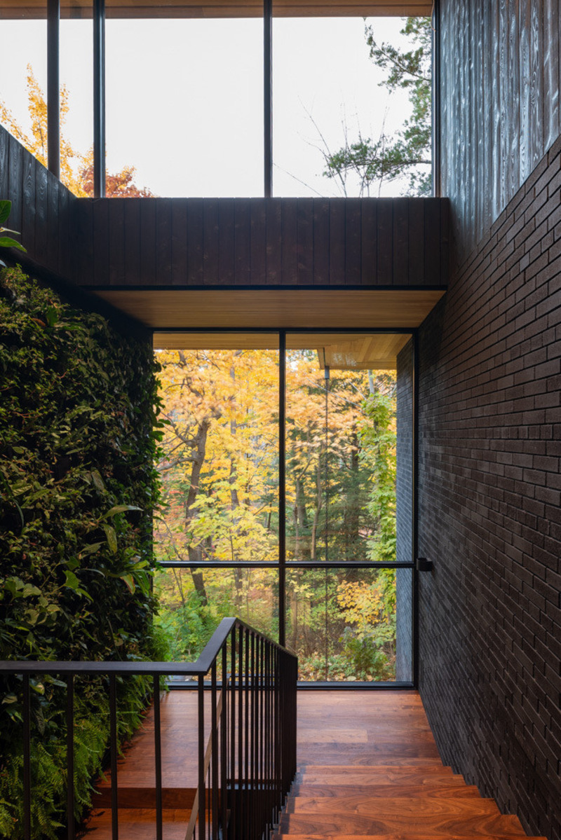 Dossier de presse | 7706-01 - Communiqué de presse | Ravine House - Orangeink Design - Architecture résidentielle - Crédit photo : Scott Norsworthy