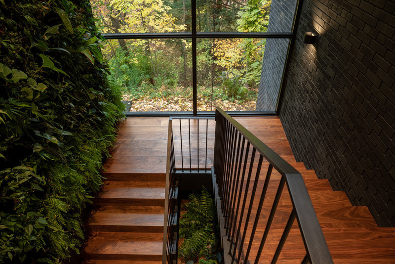 Dossier de presse | 7706-01 - Communiqué de presse | Ravine House - Orangeink Design - Architecture résidentielle - Crédit photo : Scott Norsworthy