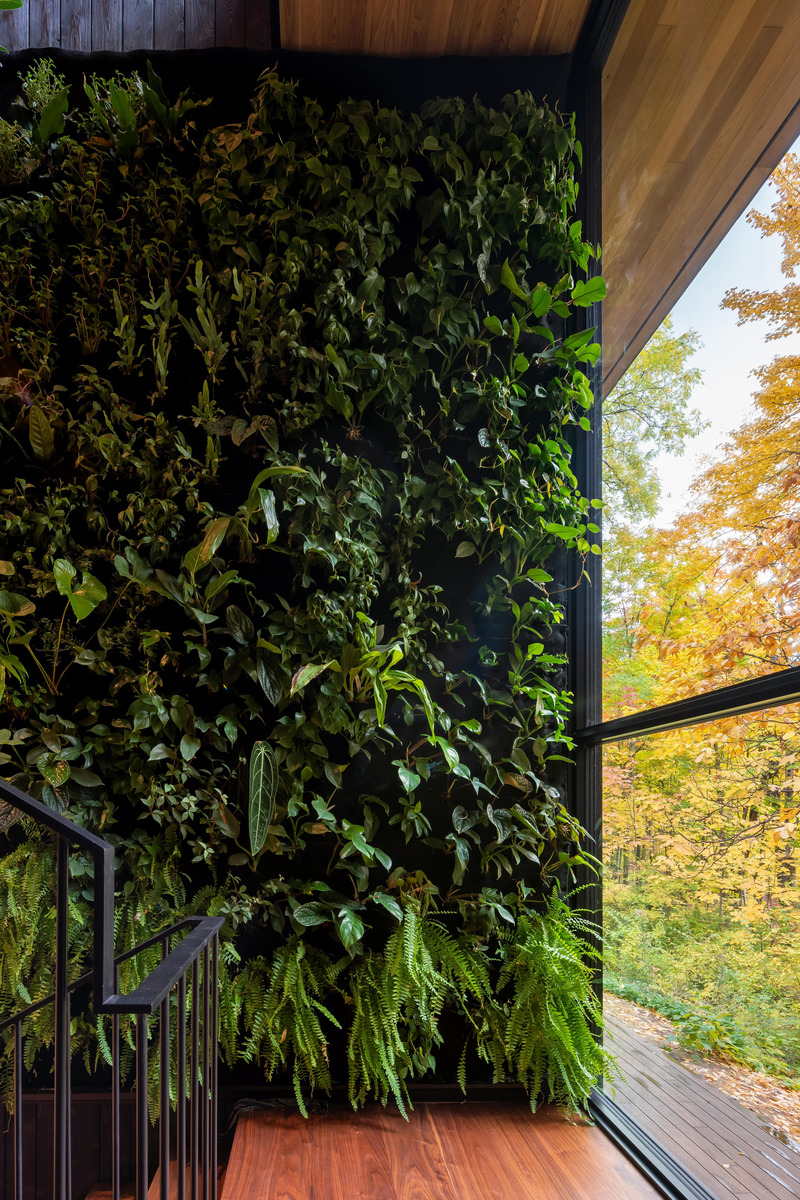 Dossier de presse | 7706-01 - Communiqué de presse | Ravine House - Orangeink Design - Architecture résidentielle - Crédit photo : Scott Norsworthy