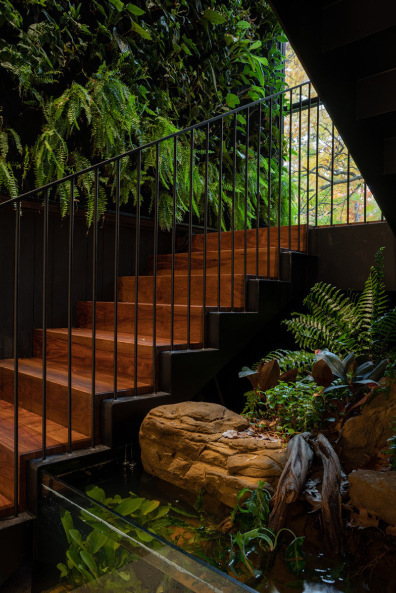 Dossier de presse | 7706-01 - Communiqué de presse | Ravine House - Orangeink Design - Architecture résidentielle - Crédit photo : Scott Norsworthy