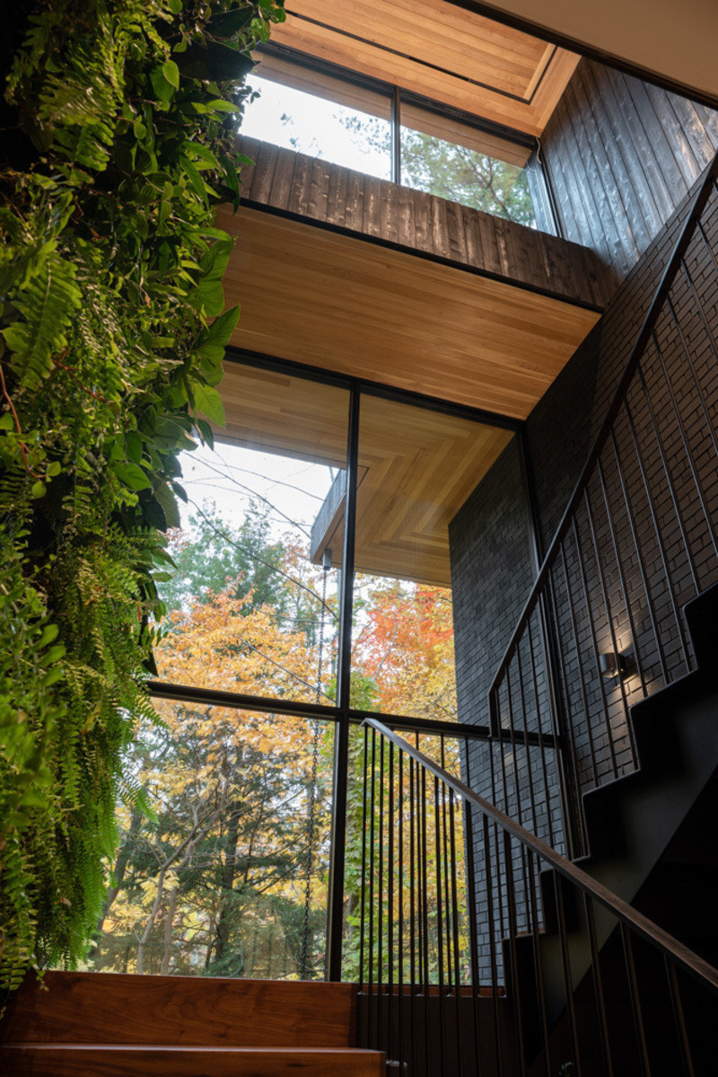 Dossier de presse | 7706-01 - Communiqué de presse | Ravine House - Orangeink Design - Architecture résidentielle - Crédit photo : Scott Norsworthy