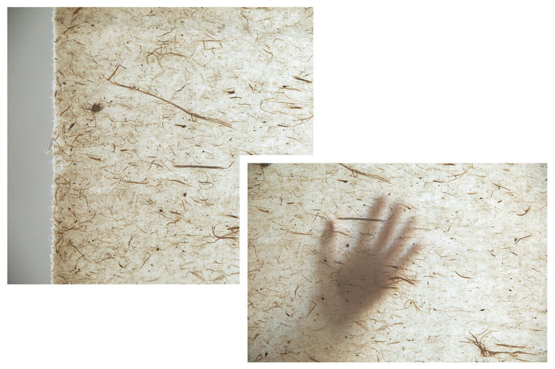 Dossier de presse | 7733-01 - Communiqué de presse | Garden for the Eyes - c+d studio - Design d’intérieur commercial - Handmade paper with texture - Crédit photo : Xian Song