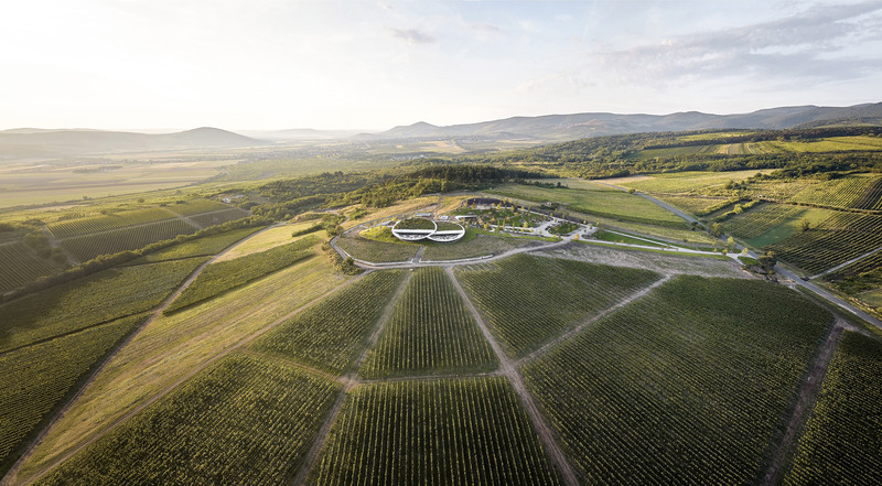 Dossier de presse | 5224-01 - Communiqué de presse | Sauska Tokaj Winery - BORD Architectural Studio - Architecture commerciale - Crédit photo : Hufton+Crow 