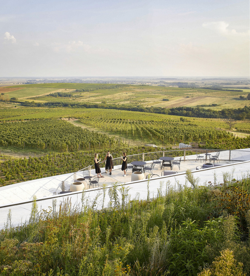 Dossier de presse | 5224-01 - Communiqué de presse | Sauska Tokaj Winery - BORD Architectural Studio - Architecture commerciale - Crédit photo : Hufton+Crow 