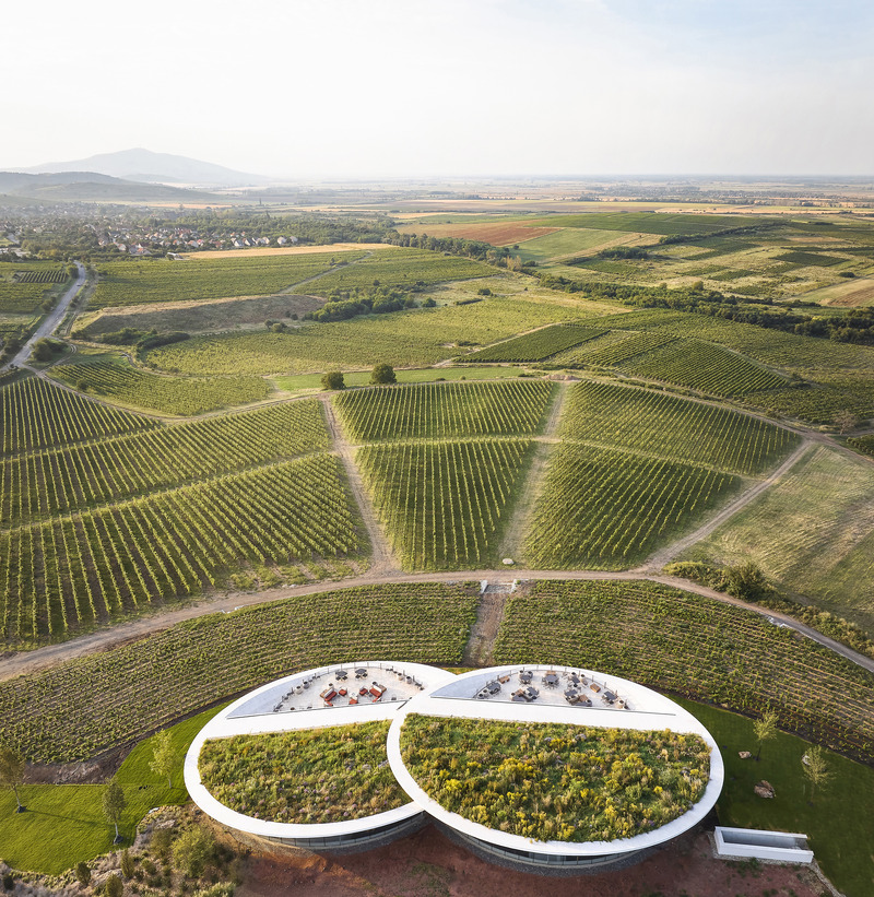 Dossier de presse | 5224-01 - Communiqué de presse | Sauska Tokaj Winery - BORD Architectural Studio - Architecture commerciale - Crédit photo : Hufton+Crow 