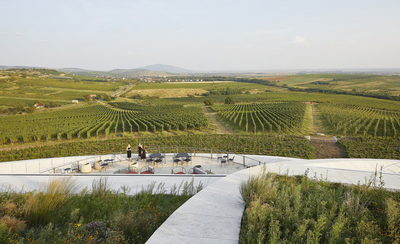 Dossier de presse | 5224-01 - Communiqué de presse | Sauska Tokaj Winery - BORD Architectural Studio - Architecture commerciale - Crédit photo : Hufton+Crow 