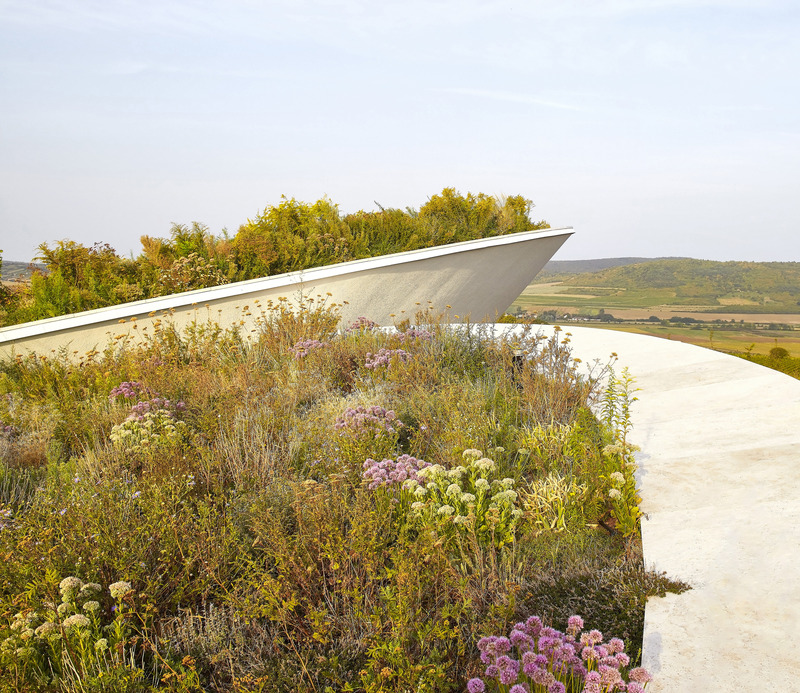 Dossier de presse | 5224-01 - Communiqué de presse | Sauska Tokaj Winery - BORD Architectural Studio - Architecture commerciale - Crédit photo : Hufton+Crow 