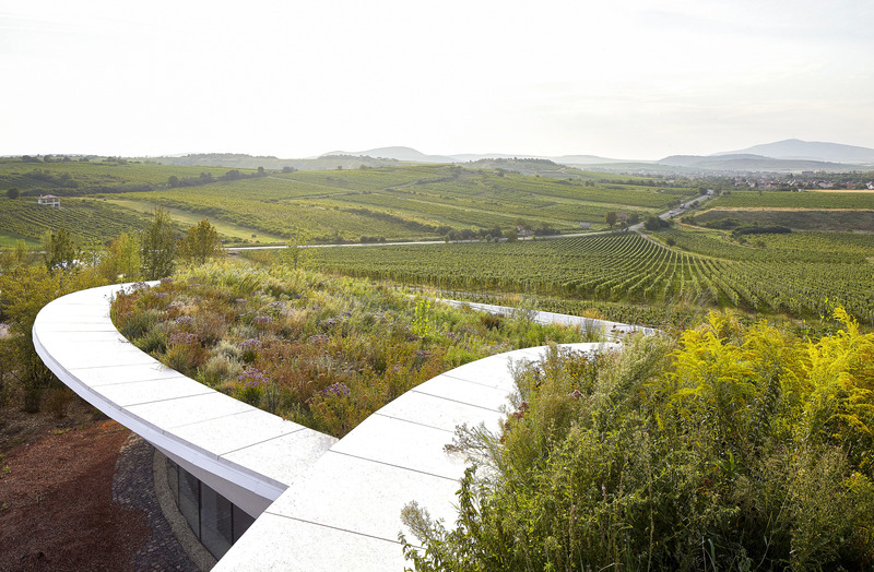 Dossier de presse | 5224-01 - Communiqué de presse | Sauska Tokaj Winery - BORD Architectural Studio - Architecture commerciale - Crédit photo : Hufton+Crow 