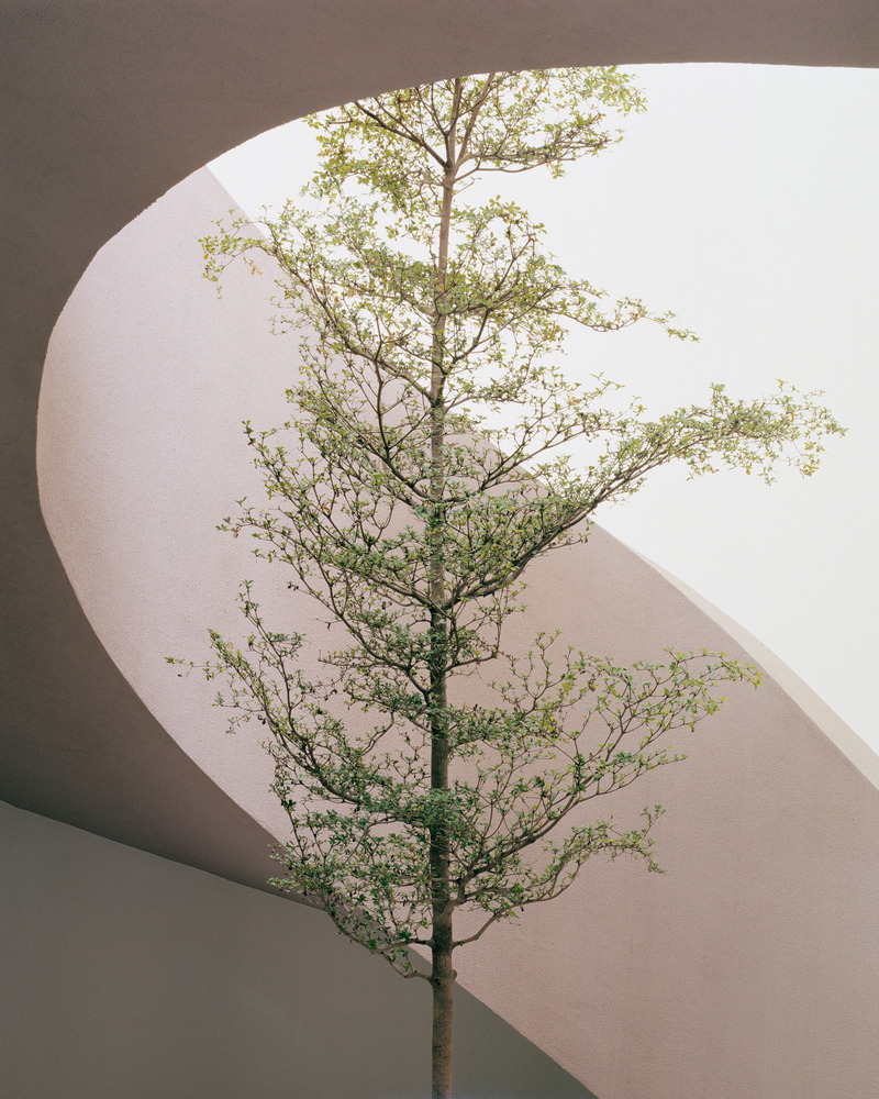 Dossier de presse | 7746-01 - Communiqué de presse | Gyöngyszem Kindergarten - Archikon Architects - Architecture institutionnelle - Gyöngyszem Kindergarten, Archikon Architects - Crédit photo : Balázs Danyi