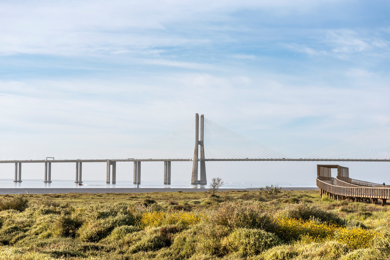 Dossier de presse | 7722-01 - Communiqué de presse | Bord de Rivière de Loures - Topiaris - Architecture de paysage - Architecture de paysage - Crédit photo : Artur Carvalho &amp; João Guimarães