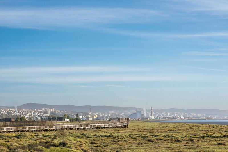 Dossier de presse | 7722-01 - Communiqué de presse | Bord de Rivière de Loures - Topiaris - Architecture de paysage - Architecture de paysage - Crédit photo : Artur Carvalho &amp; João Guimarães