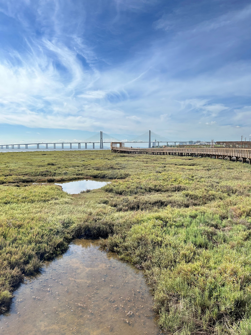 Dossier de presse | 7722-01 - Communiqué de presse | Bord de Rivière de Loures - Topiaris - Architecture de paysage - Architecture de paysage - Crédit photo : Artur Carvalho &amp; João Guimarães