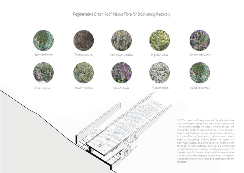 Dossier de presse | 7735-01 - Communiqué de presse | « Horizon House » - ONUS Architecture Studio - Architecture résidentielle - Diagramme du système de toiture végétalisée régénérative visant à restaurer la biodiversité locale grâce à des espèces végétales indigènes et adaptées. - Crédit photo : ONUS Architecture Studio
