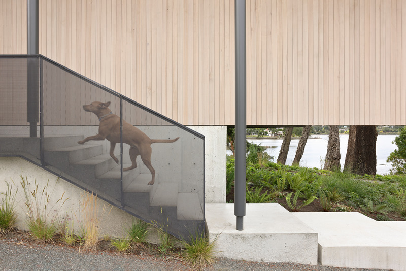 Dossier de presse | 7705-01 - Communiqué de presse | Shoreline House - Splyce Design - Architecture résidentielle - Crédit photo : <p>Ema Peter</p>