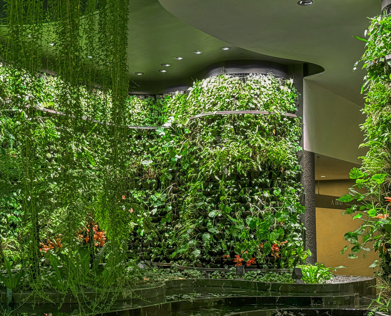 Press kit | 7667-01 - Press release | Zero Sunlight - MAERICH - Product - Zero Sunlight Curved Greenwall and Column - Photo credit: MAERICH