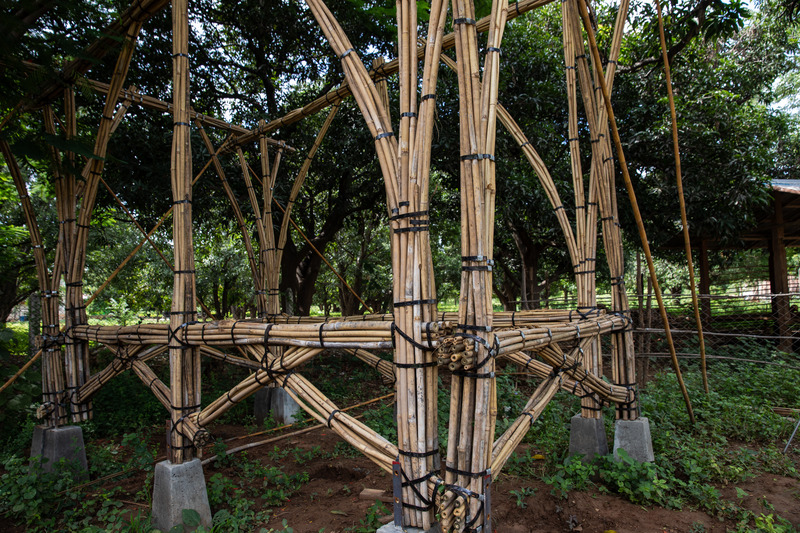 Press kit | 7035-02 - Press release | Bamboo Housing Resists 7.7 Earthquake in Conflict-Torn Myanmar, Built for Displaced Families - Blue Temple - Institutional Architecture - Detail of bundled bamboo structural columns and bracing, anchored on raised footings. - Photo credit: Aung Htay Hlaing