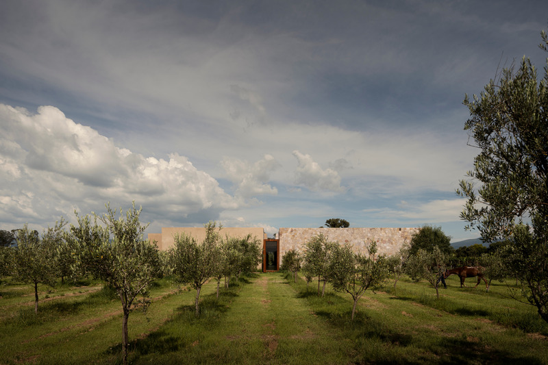 Dossier de presse | 7543-01 - Communiqué de presse | Casa San Francisco - Jorge Garibay Architects - Architecture résidentielle - Crédit photo :  Cesar Belio 