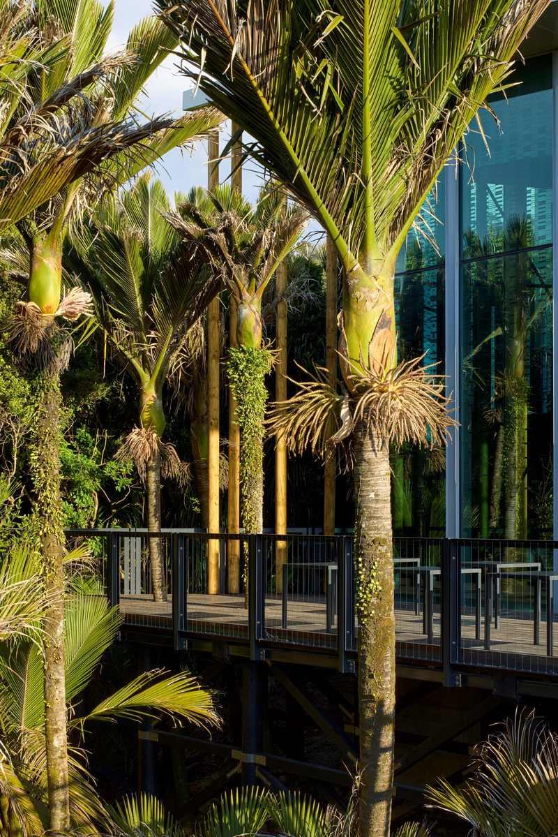 Press kit | 7788-01 - Press release | Punangairi — A Cultural and Environmental Threshold on New Zealand’s West Coast - Sheppard & Rout Architects - Commercial Architecture - Photo credit: Jason Mann Photography 