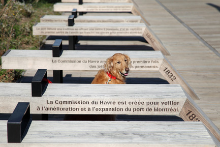 Dossier de presse | 602-13 - Communiqué de presse | Belvédère du Chemin-Qui-Marche - Groupe IBI-CHBA (Lemay) - Architecture de paysage - Crédit photo : Alexandre Guilbeault