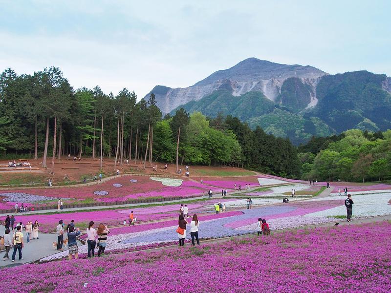 Press kit | 748-53 - Press release | UQAM’s Centre de design Presents Built Environment: An Alternative Guide to Japan - UQAM’s Centre de design - Event + Exhibition - Mt. Buko - Photo credit: None