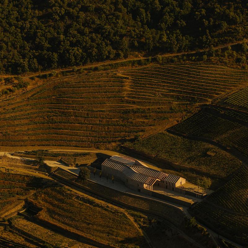 Dossier de presse | 661-87 - Communiqué de presse | World Architecture Festival 2025: Day One Winners Announced - World Architecture Festival - Évènement + Exposition - <p> COMPLETED BUILDINGS </p><p>QUINTA DE ADORIGO WINERY by ATELIER SERGIO REBELO  </p> - Crédit photo : © Fernando Guerra / FG + SG