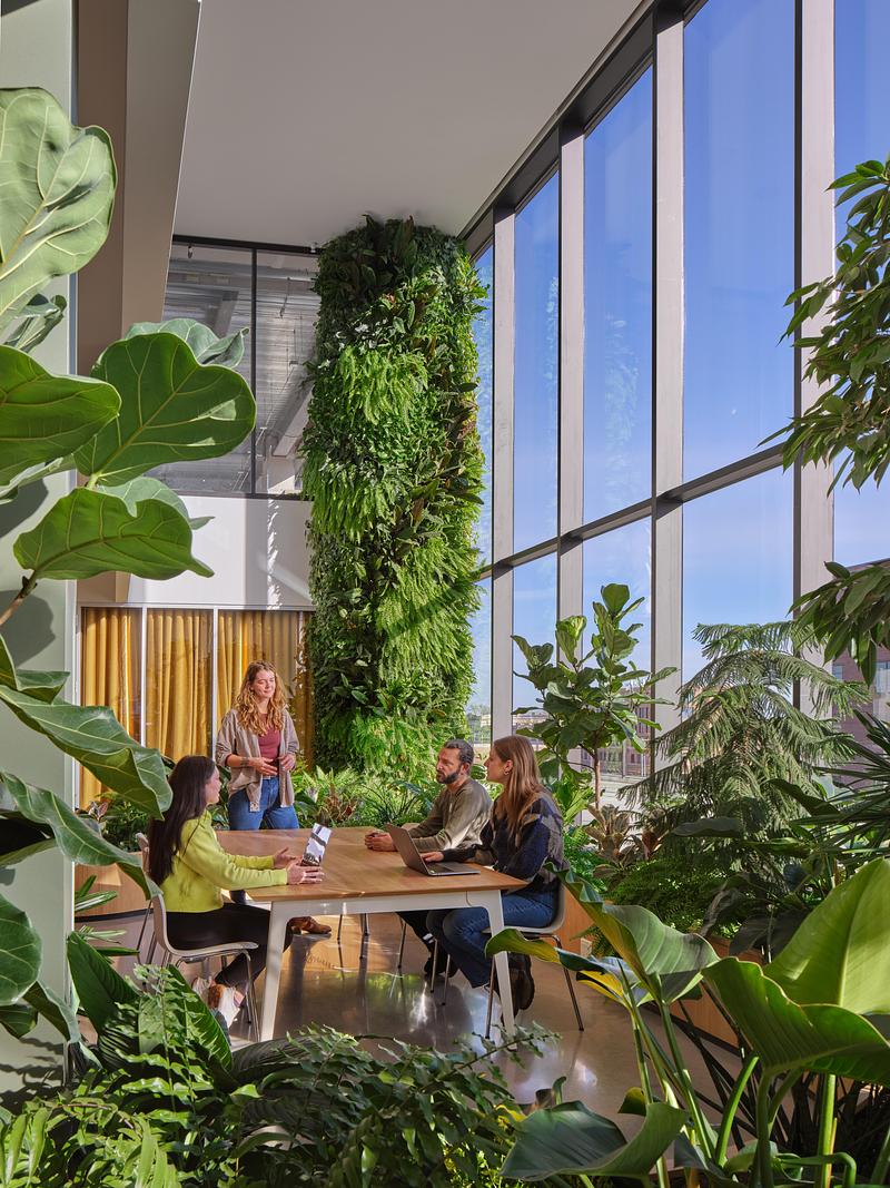 Press kit | 7791-01 - Press release | Callaghan Horiuchi Marks One Year of Arvest at Ledger - Callaghan Horiuchi - Commercial Interior Design - <p class="">The Garden Lounge features a double-height planted column and lush vegetation.</p> - Photo credit: Halkin Mason Photography