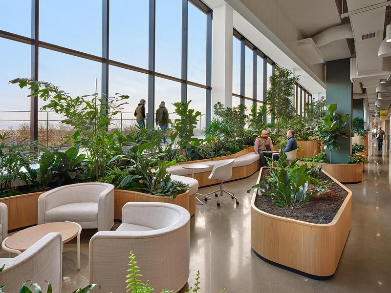 Press kit | 7791-01 - Press release | Callaghan Horiuchi Marks One Year of Arvest at Ledger - Callaghan Horiuchi - Commercial Interior Design - <p class="">Floor‑to‑ceiling windows, communal terraces on every level, and bikeable ramps connect employees and visitors to the city beyond. </p> - Photo credit: Halkin Mason Photography