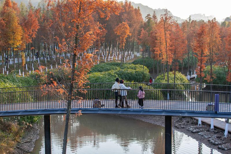 Dossier de presse | 661-90 - Communiqué de presse | World Building of the Year and Interior of the Year revealed at World Architecture Festival 2025 - World Architecture Festival - Évènement + Exposition - <p>Future Project of the Year</p><p>Embracing Flood – Xinjiang River Ecological Corridor by Turenscape</p> - Crédit photo : © Turenscape