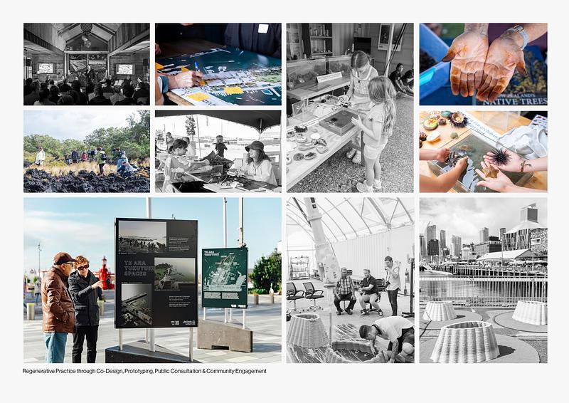 Press kit | 3979-01 - Press release | Te Ara Tukutuku - A Vision for a New Headland Open Space for Auckland, New Zealand - LandLAB + SCAPE - Urban Design - Through interactive, education-based activations,<br>the site is evolving into a living expression of ecological care, social resilience, and community healing.<br> - Photo credit: LandLAB