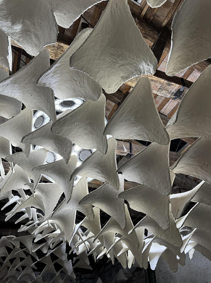 Dossier de presse | 7815-01 - Communiqué de presse | Flight into Shadow - Deggendorf Institute of Technology - Évènement + Exposition - Crédit photo : <p class="">Jacopo La Forgia</p>