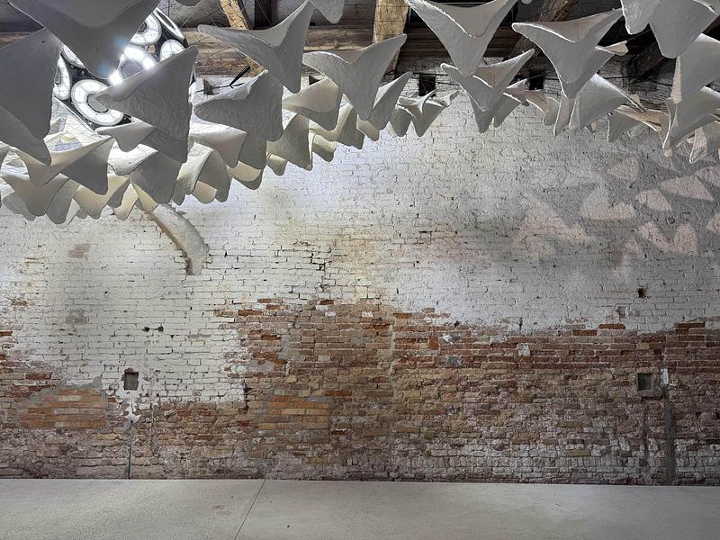 Dossier de presse | 7815-01 - Communiqué de presse | Flight into Shadow - Deggendorf Institute of Technology - Évènement + Exposition - Crédit photo : <p class="">Jacopo La Forgia</p>