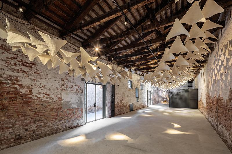 Dossier de presse | 7815-01 - Communiqué de presse | Flight into Shadow - Deggendorf Institute of Technology - Évènement + Exposition - Crédit photo : <p class="">Jacopo La Forgia</p>