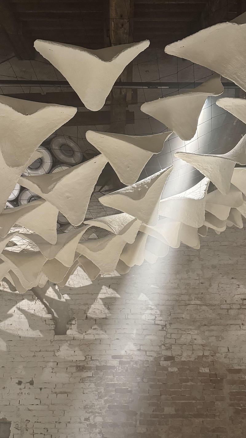 Dossier de presse | 7815-01 - Communiqué de presse | Flight into Shadow - Deggendorf Institute of Technology - Évènement + Exposition - Crédit photo : Sabine Wiesend