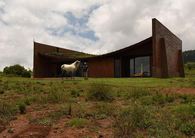 Press kit | 1968-23 - Press release | Architecture MasterPrize Announces 2025 Award Winners - Farmani Group - Commercial Architecture - Los compadres by Ricardo Yslas Gamez_AMP 2025 Best of Best Winner in Small Architecture - Photo credit: Ricardo Yslas Gamez