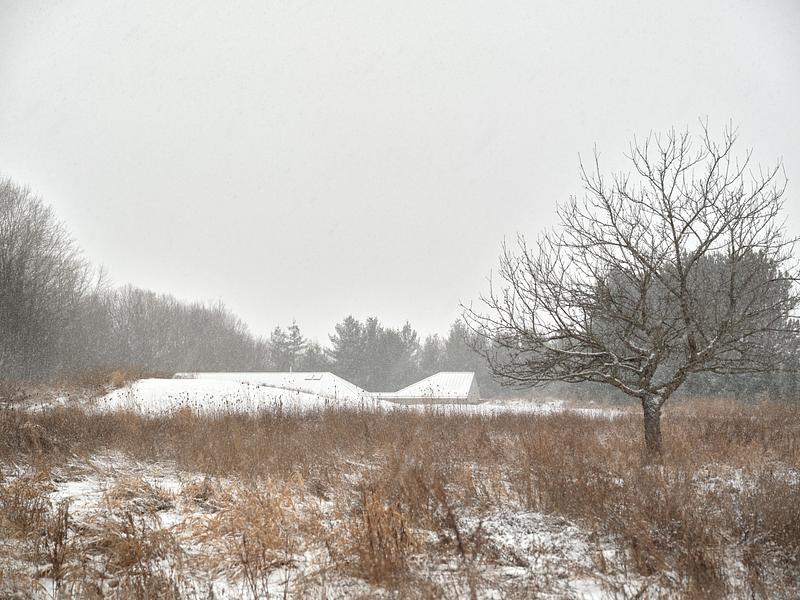 Dossier de presse | 2609-02 - Communiqué de presse | Ridge House - Superkül - Architecture résidentielle - Crédit photo : doublespace photography