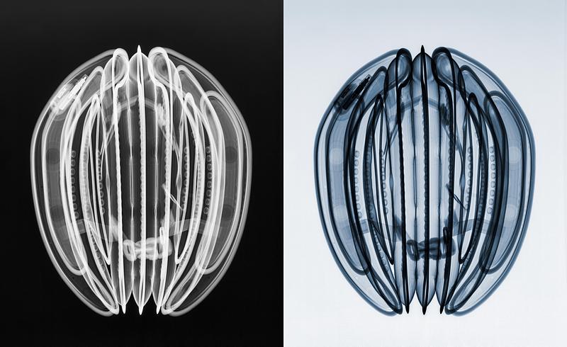 Dossier de presse | 7832-01 - Communiqué de presse | Ventete insuffle la confiance dans le mouvement - VENTETE - Produit - Crédit photo : Hugh Turvey