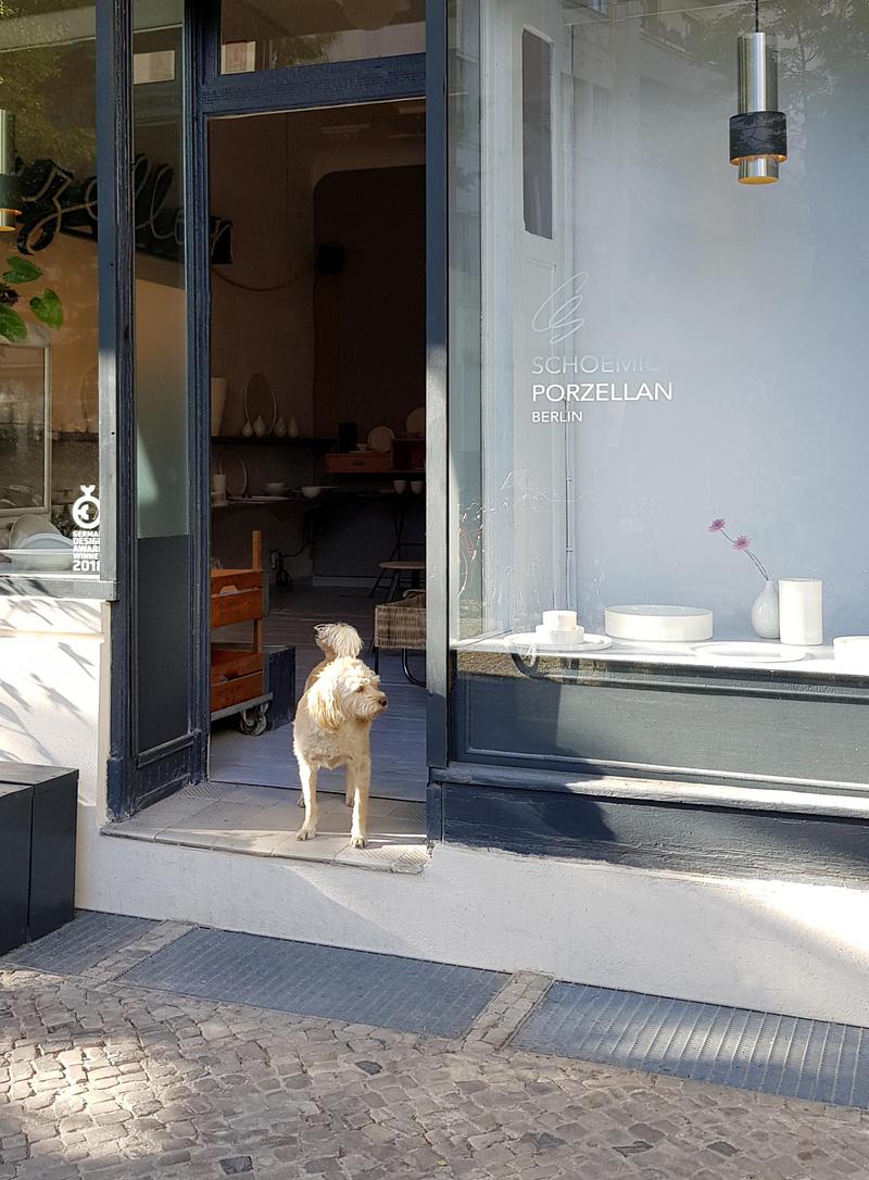 Press kit | 7838-01 - Press release | Maison & Objet: Launch of New Haven Wall Objects - Schoemig Porzellan - Art - Schoemig Porzellan atelier photo with dog Matilda - Photo credit:  Schoemig Porzellan  