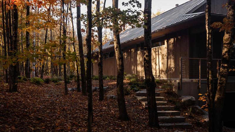 Dossier de presse | 5891-07 - Communiqué de presse | Perchée - Matière Première Architecture - Architecture résidentielle - Crédit photo : Ian Balmorel