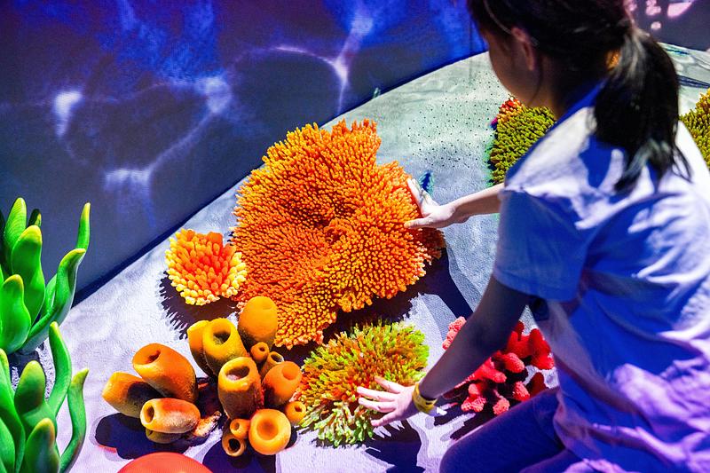 Dossier de presse | 1089-12 - Communiqué de presse | Moment Factory donne vie à Curiosity Cove, le plus grand espace de jeux intérieur inspiré de la nature à Singapour, situé au Mandai Wildlife Reserve - Moment Factory - Design multimédia -    Zones humides, barrière de corail - Les enfants explorent avec le toucher la vie marine cachée au cœur des écosystèmes coralliens.   - Crédit photo :   Curiosity Cove au Mandai Wildlife Reserve, Moment Factory  