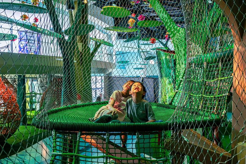 Dossier de presse | 1089-12 - Communiqué de presse | Moment Factory donne vie à Curiosity Cove, le plus grand espace de jeux intérieur inspiré de la nature à Singapour, situé au Mandai Wildlife Reserve - Moment Factory - Design multimédia -   Forêts, plateforme de l’orang-outan   - Crédit photo :  Curiosity Cove au Mandai Wildlife Reserve, Moment Factory 