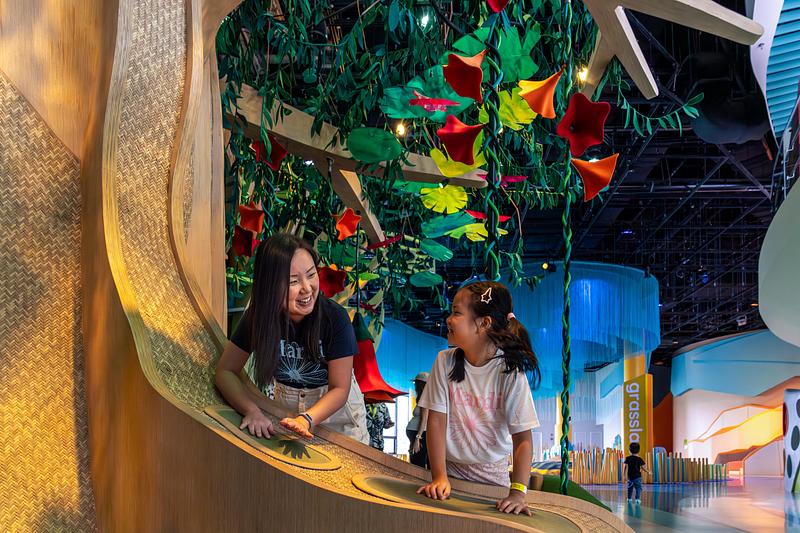 Dossier de presse | 1089-12 - Communiqué de presse | Moment Factory donne vie à Curiosity Cove, le plus grand espace de jeux intérieur inspiré de la nature à Singapour, situé au Mandai Wildlife Reserve - Moment Factory - Design multimédia -    Forêts, arbre chantant    - Crédit photo :  Curiosity Cove au Mandai Wildlife Reserve, Moment Factory 