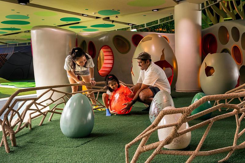 Dossier de presse | 1089-12 - Communiqué de presse | Moment Factory donne vie à Curiosity Cove, le plus grand espace de jeux intérieur inspiré de la nature à Singapour, situé au Mandai Wildlife Reserve - Moment Factory - Design multimédia -   Forêts, oeufs interactifs   - Crédit photo :  Curiosity Cove au Mandai Wildlife Reserve, Moment Factory  