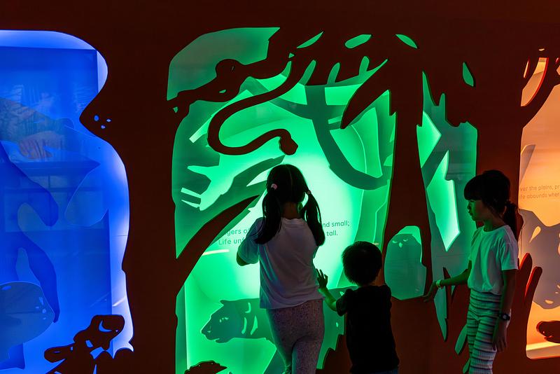 Dossier de presse | 1089-12 - Communiqué de presse | Moment Factory donne vie à Curiosity Cove, le plus grand espace de jeux intérieur inspiré de la nature à Singapour, situé au Mandai Wildlife Reserve - Moment Factory - Design multimédia - Forêts - Mur de promesses - Crédit photo :  Curiosity Cove au Mandai Wildlife Reserve, Moment Factory  