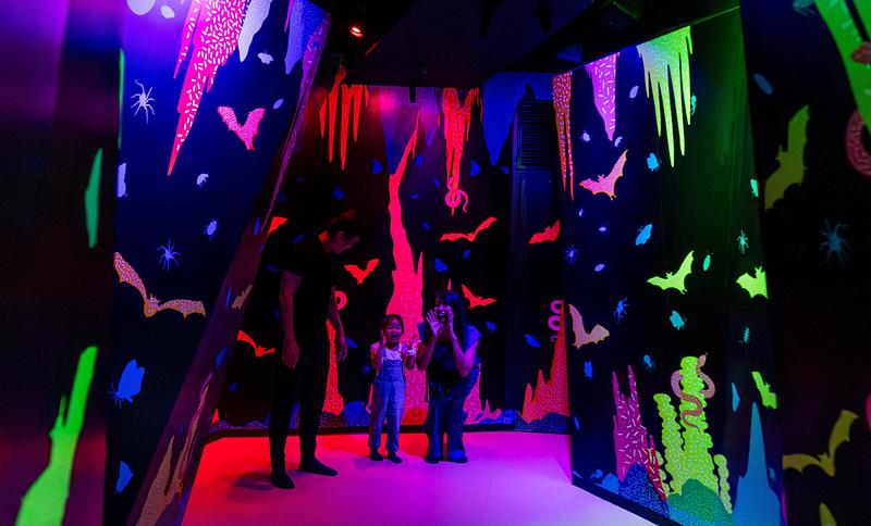 Dossier de presse | 1089-12 - Communiqué de presse | Moment Factory donne vie à Curiosity Cove, le plus grand espace de jeux intérieur inspiré de la nature à Singapour, situé au Mandai Wildlife Reserve - Moment Factory - Design multimédia -   Prairies, grotte des chauves-souris - Une salle sombre où les enfants utilisent des applaudissements pour produire des échos, comme le font les chauves-souris pour se repérer.     - Crédit photo :  Curiosity Cove au Mandai Wildlife Reserve, Moment Factory   