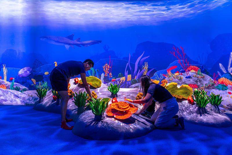 Dossier de presse | 1089-12 - Communiqué de presse | Moment Factory donne vie à Curiosity Cove, le plus grand espace de jeux intérieur inspiré de la nature à Singapour, situé au Mandai Wildlife Reserve - Moment Factory - Design multimédia -  Zones humides, barrière de corail - Les enfants explorent avec le toucher la vie marine cachée au cœur des écosystèmes coralliens.   - Crédit photo : Curiosity Cove au Mandai Wildlife Reserve, Moment Factory 