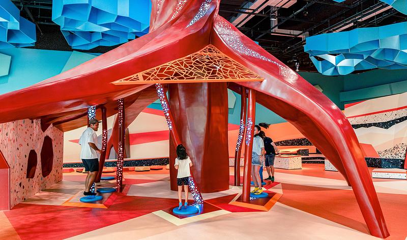 Dossier de presse | 1089-12 - Communiqué de presse | Moment Factory donne vie à Curiosity Cove, le plus grand espace de jeux intérieur inspiré de la nature à Singapour, situé au Mandai Wildlife Reserve - Moment Factory - Design multimédia -  Terres arides, racines ancestrales - En bondissant parmi les racines anciennes, les visiteurs font monter « l’eau » dans le tronc, insufflant la vie à l’arbre géant.  - Crédit photo :  Curiosity Cove au Mandai Wildlife Reserve, Moment Factory 