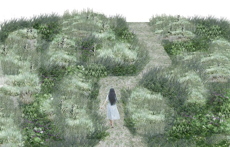 Press kit | 837-54 - Press release | The International Garden Festival Unveils the Projects Selected for its 27th Edition, Under the Theme 'Mapping Sensitivity' - International Garden Festival | Reford Gardens - Landscape Architecture - <p> Mentho-artemision</p><p>Etienne Lapleau | France </p> - Photo credit: Etienne Lapleau