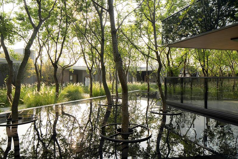 Press kit | 7844-01 - Press release | Luxelakes C7 South Golden Bay Model Island - Chengdu MaiWei Landscape Architecture Studio - Landscape Architecture - Photo credit:  PrismImage 