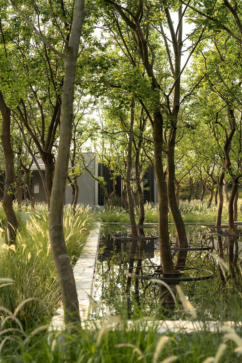 Press kit | 7844-01 - Press release | Luxelakes C7 South Golden Bay Model Island - Chengdu MaiWei Landscape Architecture Studio - Landscape Architecture - Photo credit:  PrismImage 
