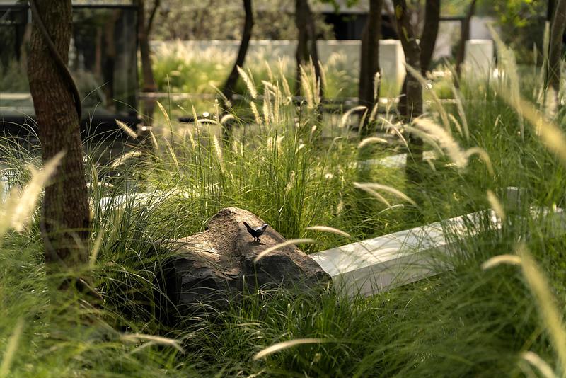 Press kit | 7844-01 - Press release | Luxelakes C7 South Golden Bay Model Island - Chengdu MaiWei Landscape Architecture Studio - Landscape Architecture - Photo credit:  PrismImage 